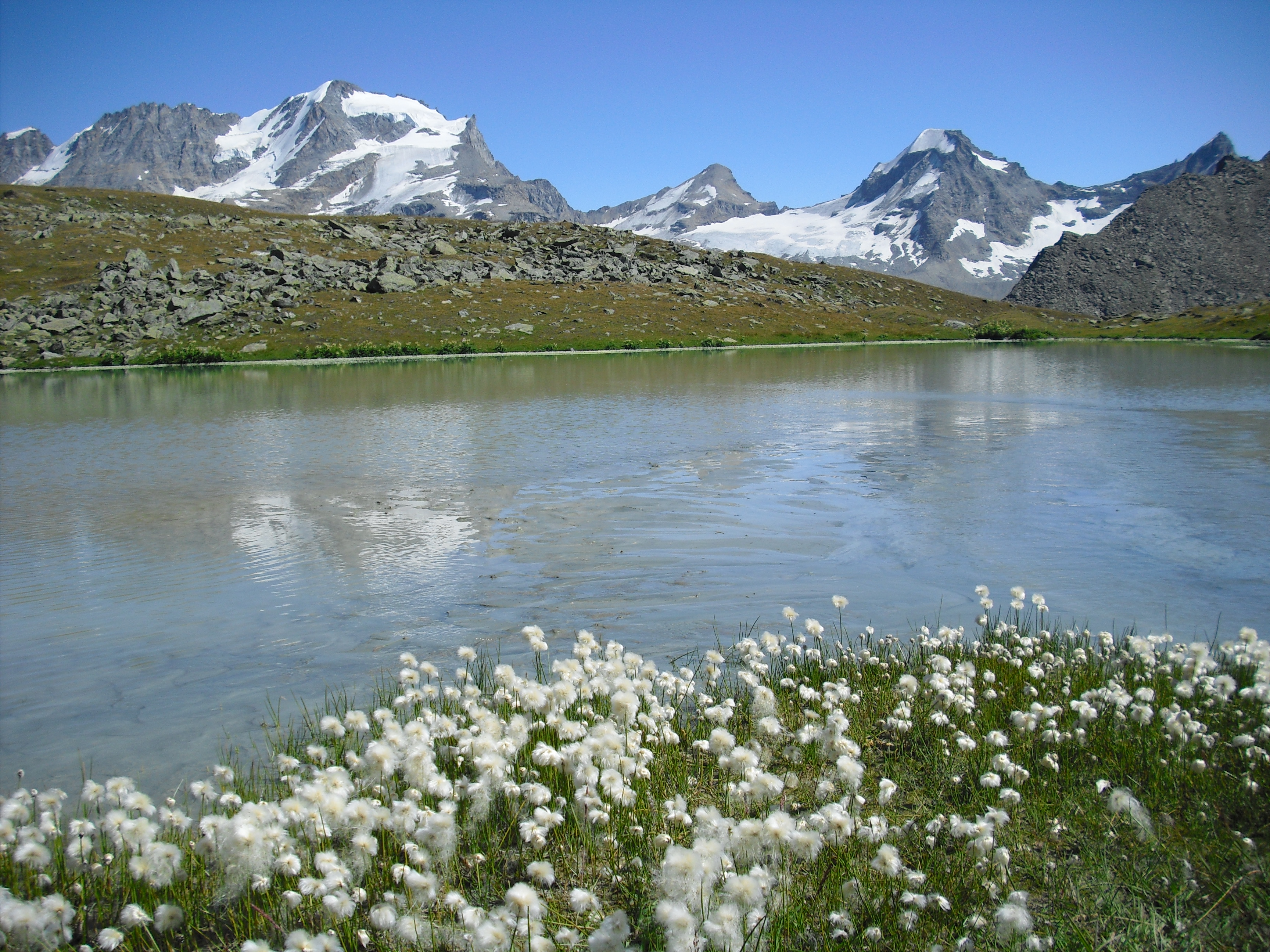 I Sentieri Del Paradiso Parco Nazionale Gran Paradiso 3121