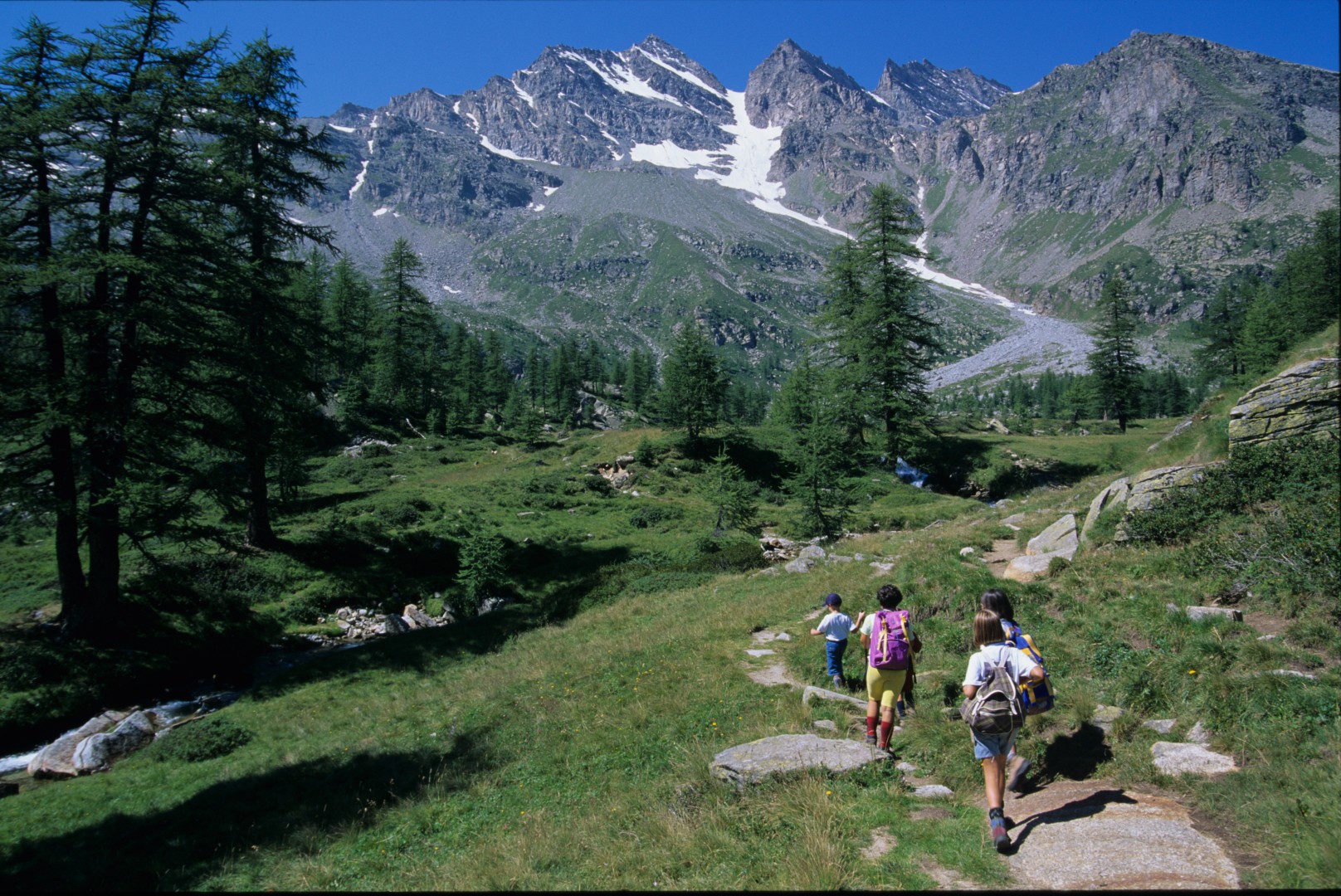 Attività Tematiche Sul Territorio Parco Nazionale Gran Paradiso 5728