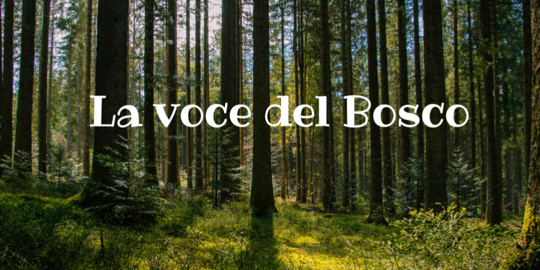 La voce del Bosco