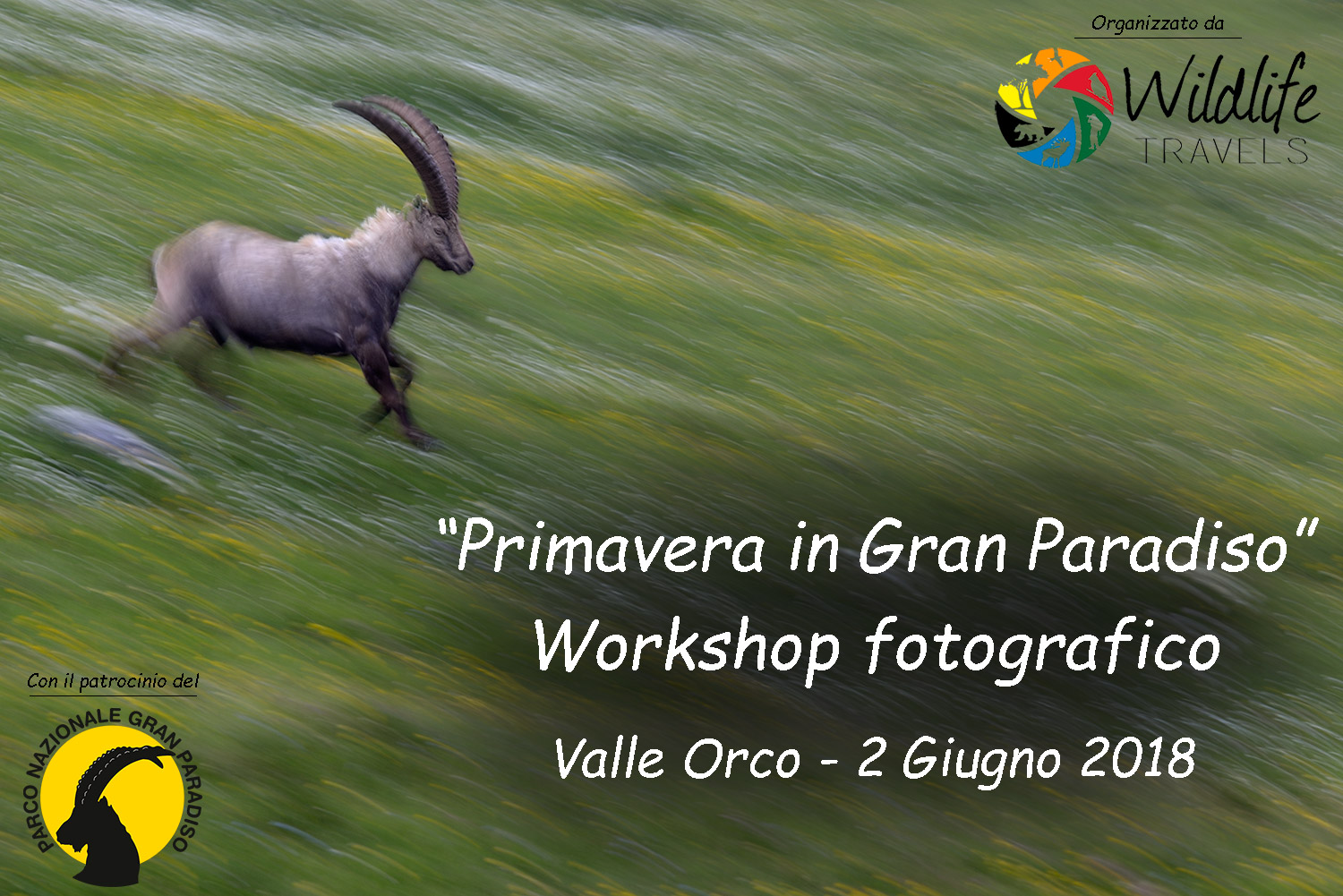 Workshop fotografico "Primavera in Gran Paradiso"