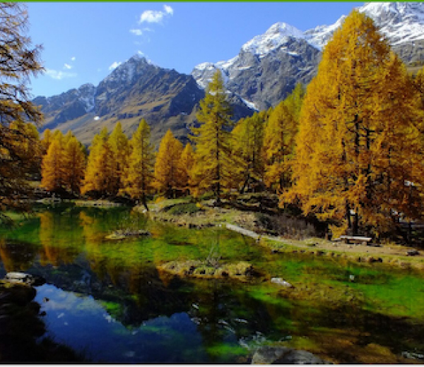 La magia dell'autunno e dei colori della natura