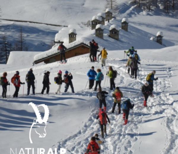 Dicembre sulla neve con NaturAlp