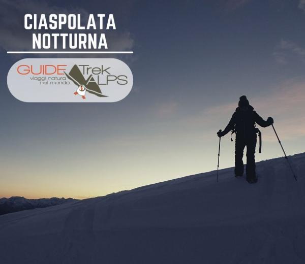Ciaspolata in notturna con Guide Trek Alps