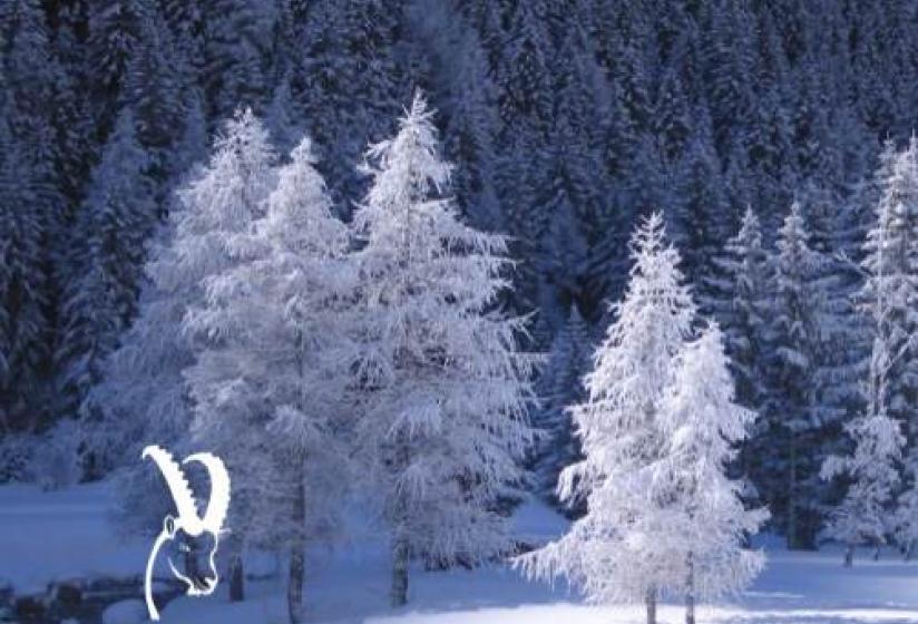  Dicembre sulla neve con NaturAlp